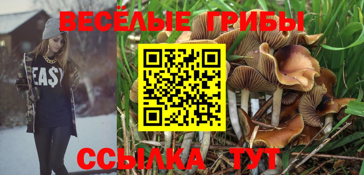 магазин продажи наркотиков  Галлюциногенные грибы мицелий  Вход с VPN  Ноябрьск 