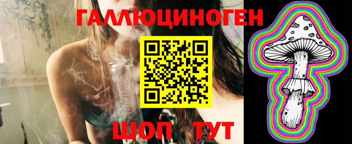 Псилоцибиновые грибы Cubensis Ноябрьск